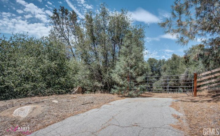 Pictures of Land property located at 28060 Carlyle Springs Road, Keene, CA 93531 for sales - image #1