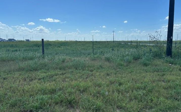 Pictures of Land property located at 22879 N Wallace Road, Edinburg, TX 78541 for sales - image #1