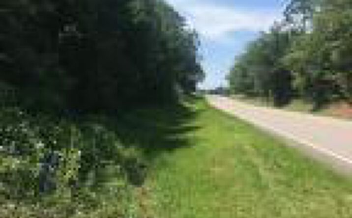Pictures of Land property located at 5960 Highway 3, Barnwell, SC 29812 for sales - image #1