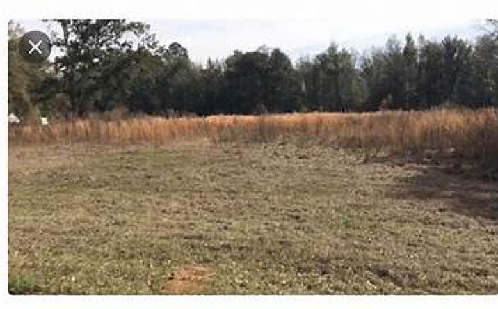 Pictures of Land property located at 705 Hickory Nut Trail, Satsuma, FL 32189 for sales - image #1