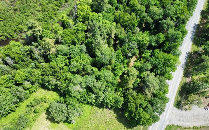Pictures of Land property located at County Rd, New Limerick, ME 04761 for sales - image #1
