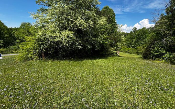 Pictures of Land, Multifamily property located at 00000 Virgilina Circle, Cana, VA 24317 for sales - image #1