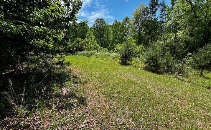 Pictures of Land, Multifamily property located at 0000 Virgilina Circle, Cana, VA 24317 for sales - image #1