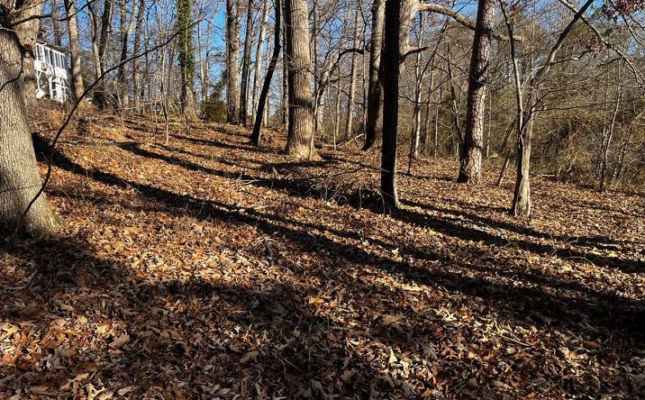 Pictures of Land, Multifamily property located at 000 Virgilina Circle, Cana, VA 24317 for sales - image #1