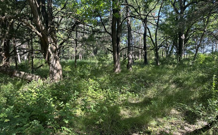 Pictures of Land property located at 004 N Wade, Bennington, OK 74723 for sales - image #1