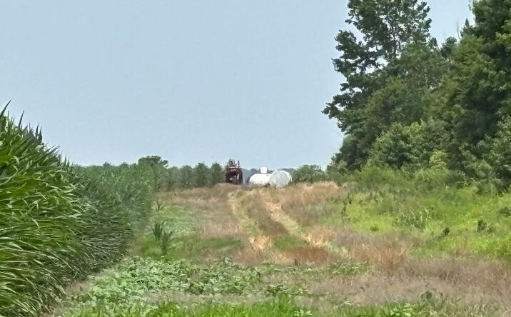 Pictures of Land property located at 000 County Road 80, Star City, USA 71667 for sales - image #1