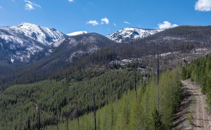 Pictures of Land property located at NKA, Lolo, MT 59847 for sales - image #1