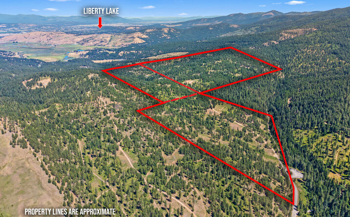 Pictures of Land property located at E Belmont Rd, Mica, WA 99023 for sales - image #1