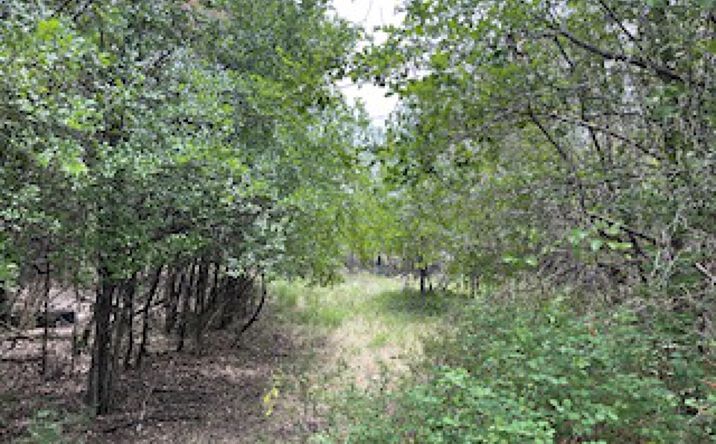 Pictures of Land property located at 1.46 +/- Acres in Early, Early, TX 76802 for sales - image #1