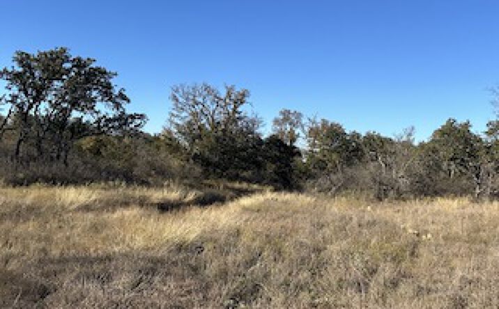 Pictures of Land property located at 103 +/- Acres near Brownwood, Brownwood, TX 76801 for sales - image #1