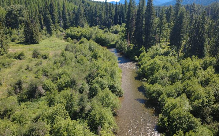Pictures of Land property located at Lot 1 Creek View Lane, Troy, MT 59935 for sales - image #1