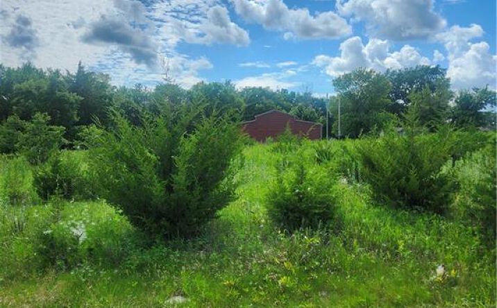 Pictures of Land, Special Purpose, Multifamily property located at 21 Shady Lane, Linn Valley, KS 66040 for sales - image #1