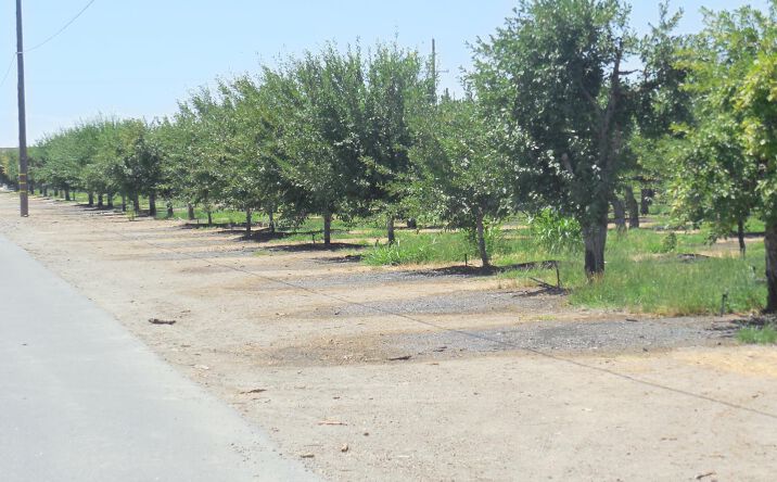 Pictures of Land property located at 2200 Encinal Road, Live Oak, CA 95953 for sales - image #1