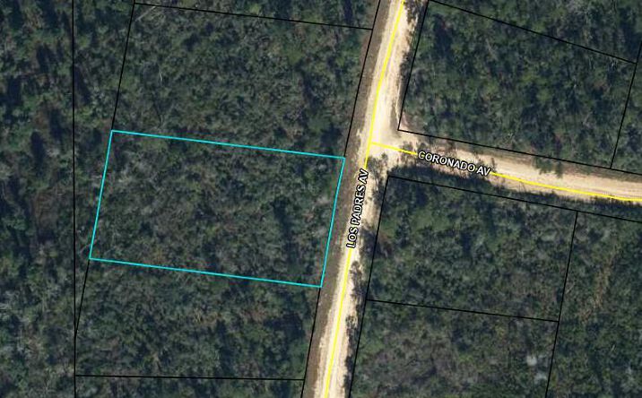 Pictures of Land property located at Los Padres Ave, Alford, FL 32420 for sales - image #1