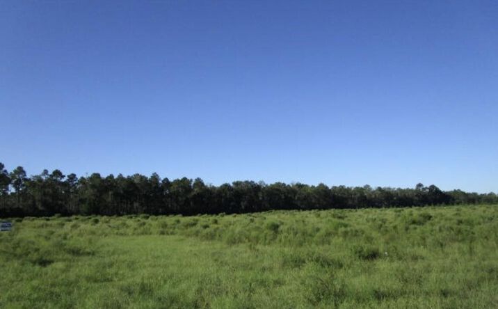 Pictures of Land property located at 0000 Crawfordville Highway, Crawfordville, FL 32326 for sales - image #1