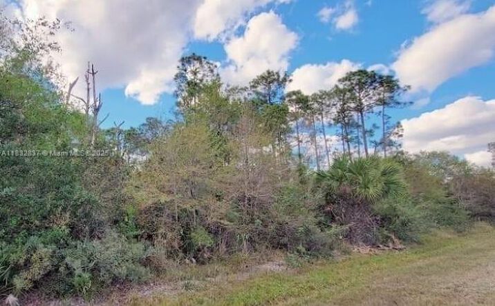 Pictures of Land property located at 305 Yeehaw Ave, Clewiston, FL 33040 for sales - image #1