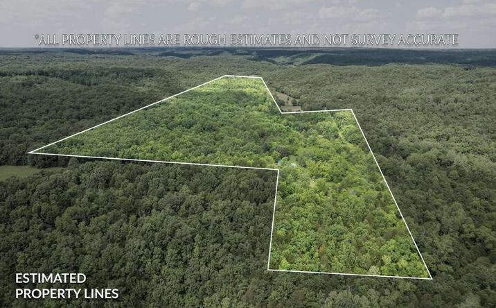 Pictures of Land property located at 23201 Private Drive 6474, Duke, MO 65461 for sales - image #1