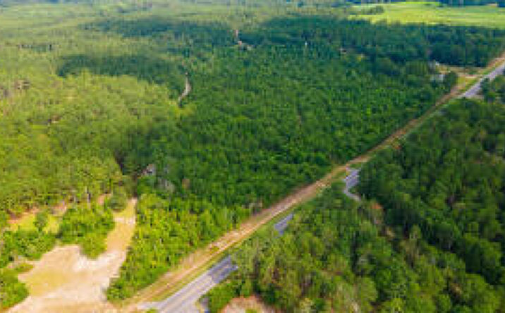 Pictures of Land property located at 4057 Columbia Highway, Ridge Spring, SC 29129 for sales - image #1