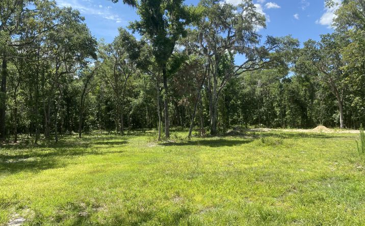 Pictures of Land property located at Snow Memorial Hwy, undefined, FL 34601 for sales - image #1
