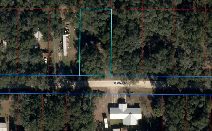Pictures of Land property located at 10267 NE 69th Pl, Bronson, FL 32621 for sales - image #1
