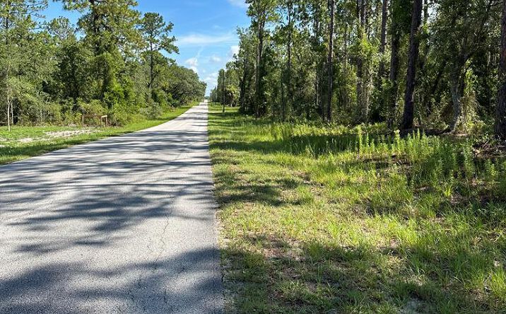Pictures of Land property located at 000 SE 125th Ct, Dunnellon, FL 34431 for sales - image #1