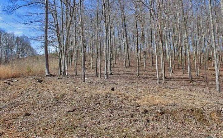 Pictures of Land property located at 1230 Haynes Knob Rd, Somerset, KY 42501 for sales - image #1