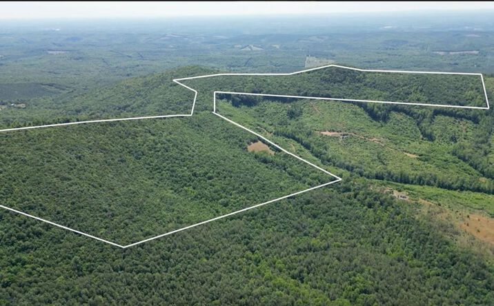 Pictures of Land property located at Ball Mountain Ln, Shipman, VA 22971 for sales - image #1