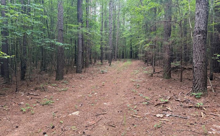 Pictures of Land property located at 1300 Greenfield Drive, Gladstone, VA 24553 for sales - image #1