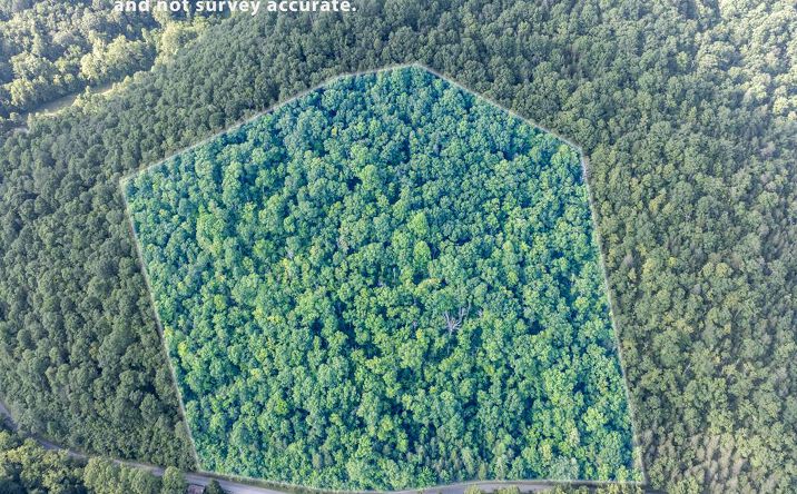 Pictures of Land property located at TBD Dry Fork Road, North Tazewell, VA 24630 for sales - image #1