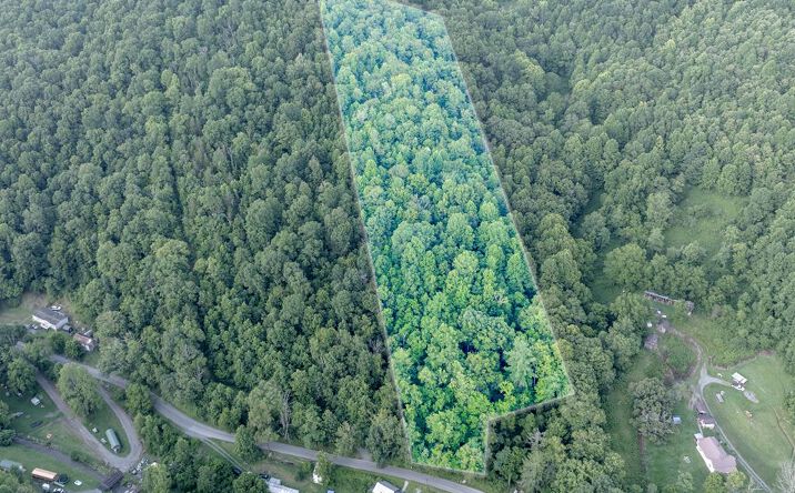 Pictures of Land property located at TBD Dry Fork Road, North Tazewell, VA 24630 for sales - image #1