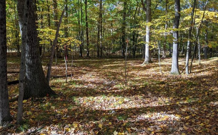 Pictures of Land property located at TBD Searsville Road, Crawford, NY 12566 for sales - image #1