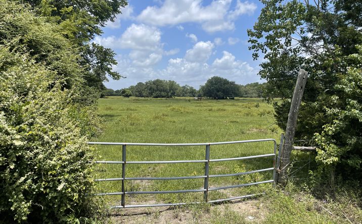 Pictures of Land property located at 0 County Road 392, Alvin, TX 77511 for sales - image #1