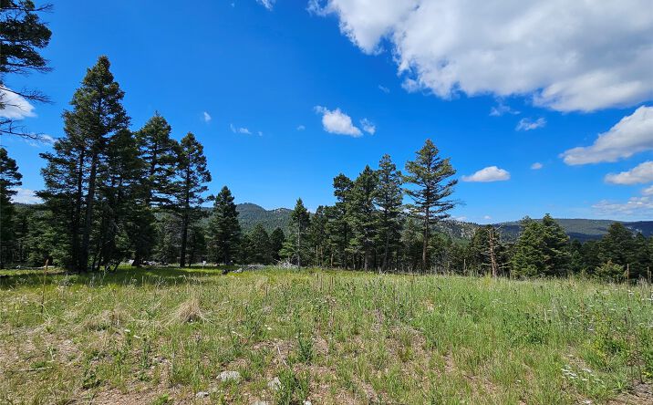 Pictures of Land property located at NHN Hoover Creek OSI-73 Road, Helmville, MT 59843 for sales - image #1