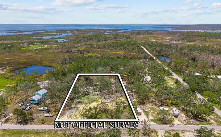 Pictures of Land property located at 336 SW 911th St, Steinhatchee, FL 32359 for sales - image #1