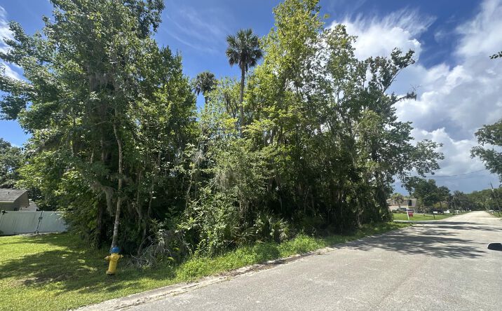 Craigslist New Smyrna Beachnull