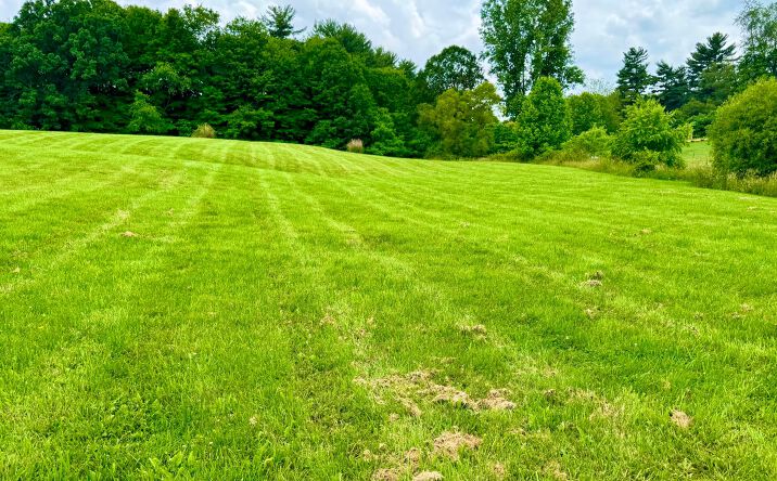 Pictures of Land property located at 0 Indian Hills Road, Mount Vernon, OH 43050 for sales - image #1