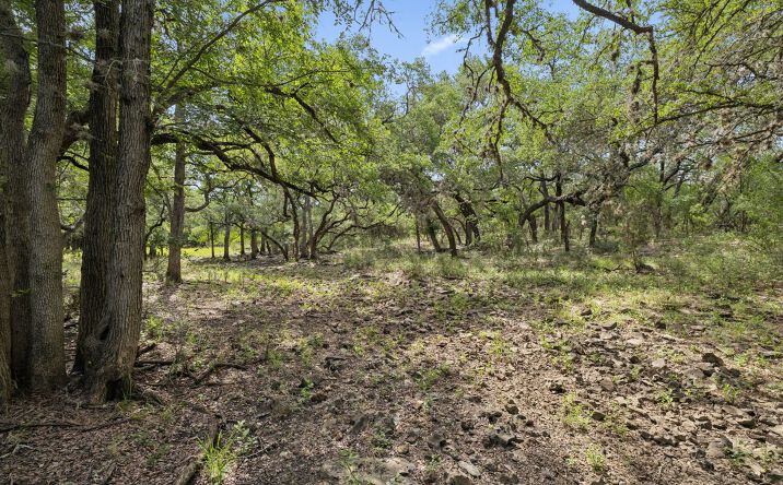 Pictures of Land property located at Hunting Ranch, Medina, TX 78861 for sales - image #1