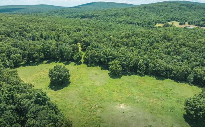 Pictures of Land property located at 1039 Highway NN, Ironton, MO 63650 for sales - image #1