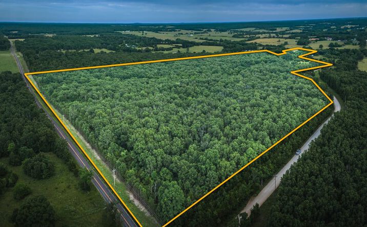 Pictures of Land property located at 000 Highway CC, Licking, MO 65542 for sales - image #1