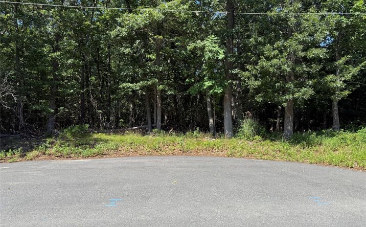 Pictures of Land property located at Park Avenue, Brookhaven, NY 11777 for sales - image #1
