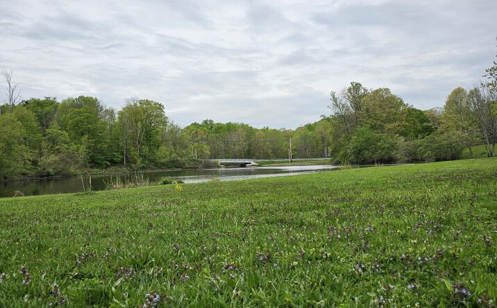 Pictures of Land, Multifamily property located at S Plank Road, Wawayanda, NY 10973 for sales - image #1