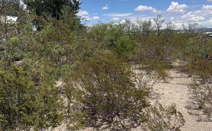 Pictures of Land property located at 214 Montreal Avenue, Elephant Butte, NM 87935 for sales - image #1