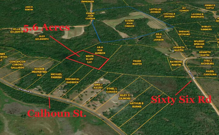 Pictures of Land, Special Purpose, Multifamily property located at 0 Calhoun Street, Branchville, SC 29432 for sales - image #1