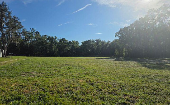 Pictures of Land property located at TBD SE Hwy 19, Old Town, FL 32680 for sales - image #1