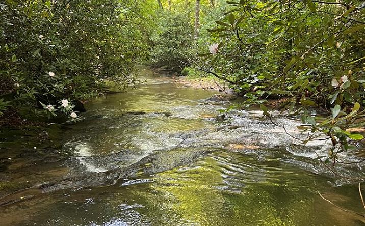 Pictures of Land property located at TBD Old School House Rd, Ararat, VA 24053 for sales - image #1