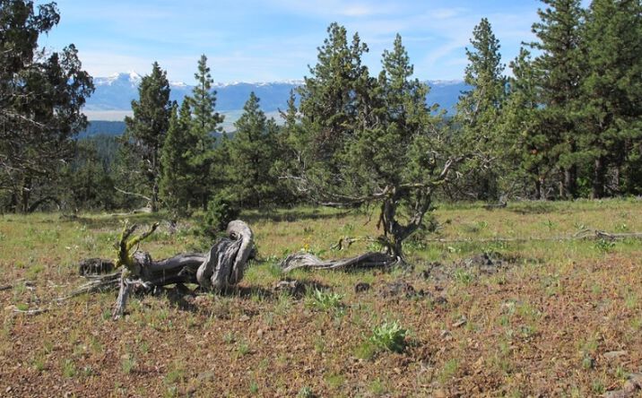 image of property at 50000 LAKE CREEK CAMP RD SENECA John Day OR 97845