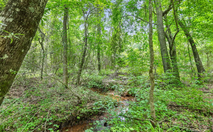 Pictures of Land property located at 11.59+/- AC Hunt Road, Lagrange,, GA 30241 for sales - image #1