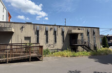 24555331