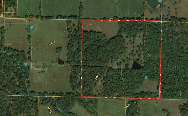Pictures of Land property located at Private Road off County Road 164, Fremont, MO 63941 for sales - image #1