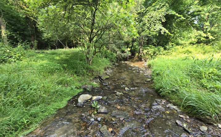 Pictures of Land property located at xxxx Willie Groce Road, Glasgow, KY 42141 for sales - image #1